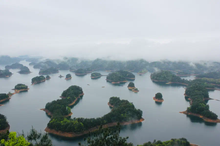 Qian-Dao-Hu.Tian-Yu.webp